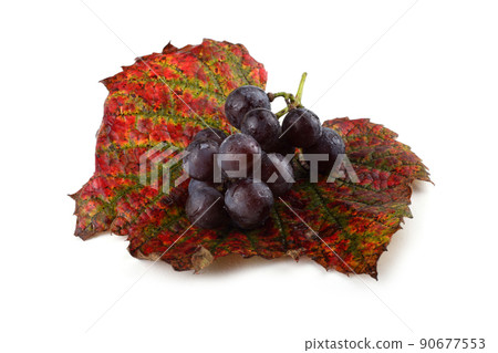 Black grape Black grape 90677553