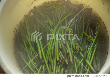 Bracken bracken shavings, sprinkle with ash and boiling water 90677945