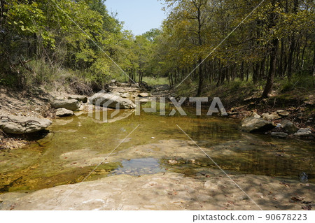 San Antonio Park, Texas, the day after the rain San Antonio Park, Texas, the day after the rain 90678223