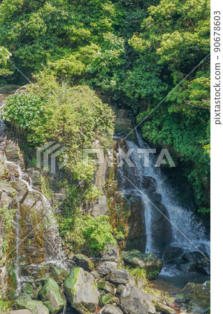 Ikiga瀑布 90678603