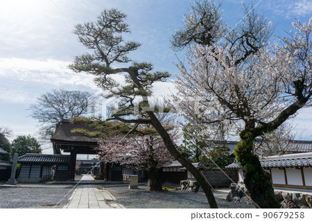 曼陀羅寺 曼陀羅寺 90679258