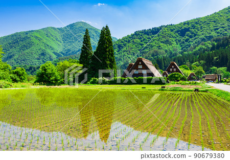 Fresh green Shirakawago Fresh green Shirakawago 90679380