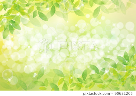 Image of fresh green Image of fresh green 90681205