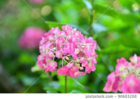 Moriyama Ashikarien Moriyama Ashikarien 90683208