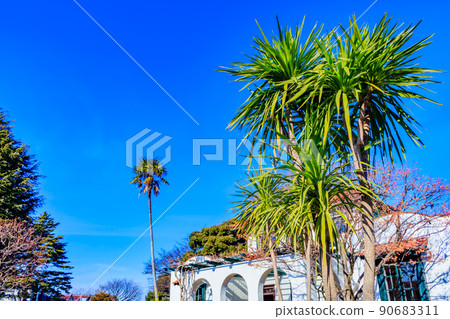 [Cityscape of Kanagawa] Cityscape around Yokohama Foreign Settlement 90683311