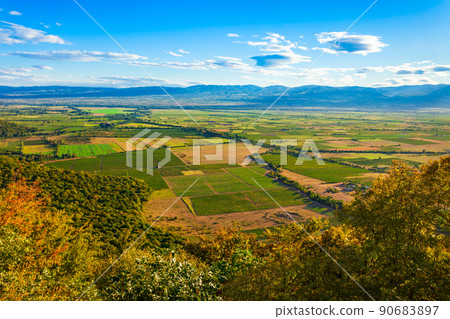 Alazani Valley in Kakheti region, Georgia 90683897