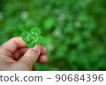 hand held four leaf clover 90684396