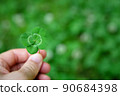 hand held four leaf clover 90684398