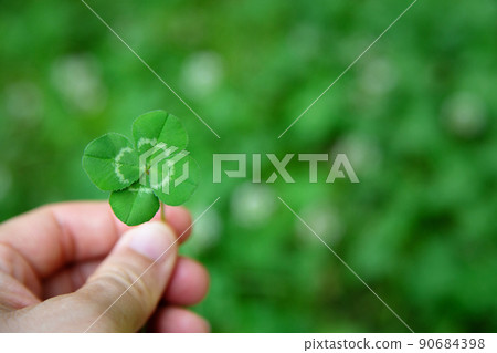 手持四葉草 90684398