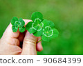 hand held four leaf clover 90684399