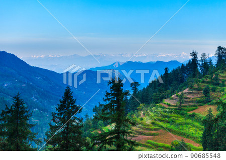 Himalaya mountains panoramic landscape, India 90685548