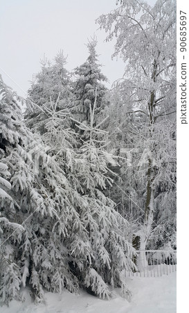 Trees covered with snow, beautiful winter landscape Trees covered with snow, beautiful winter landscape 90685697