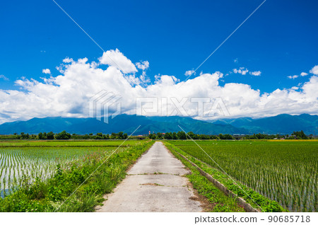 Countryside scenery with blue sky in early summer Countryside scenery with blue sky in early summer 90685718