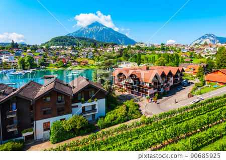 Vineyards in Spiez town, Switzerland 90685925