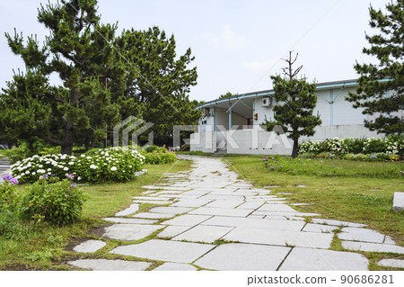 神奈川縣橫濱市八景島的初夏 90686281