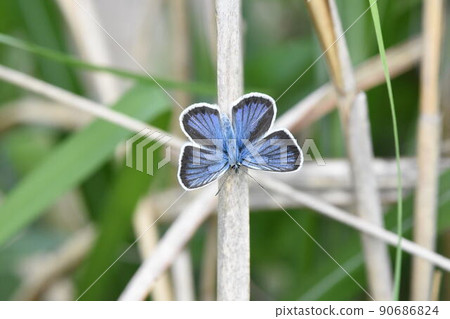 由翻譯提供支持 90686824