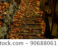 Road of fallen leaves 90688061
