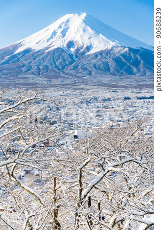 大雪當天，山梨縣富士吉田市被雪覆蓋的富士山 90688239