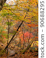 Colorful autumn leaves 90688295