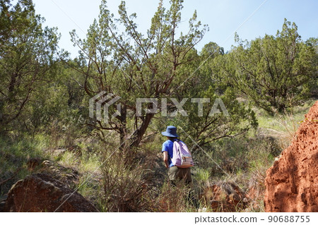 德克薩斯州阿馬里洛，帕洛杜羅州立公園，步道上的女人 90688755