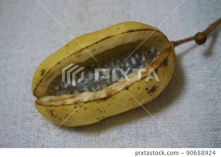 木通、秋味、木通、三萩通 木通、秋味、木通、三萩通 90688924