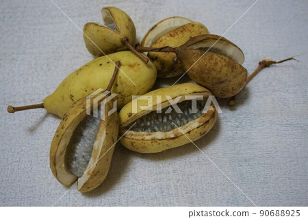 木通、秋味、木通、三萩通 木通、秋味、木通、三萩通 90688925