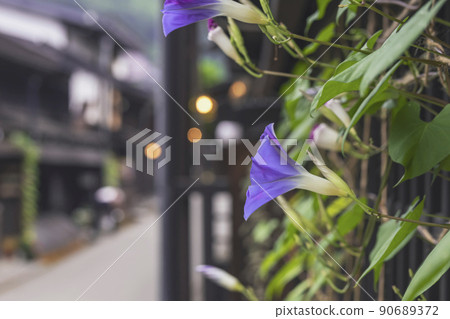 210806 Sanmachi g044 90689372