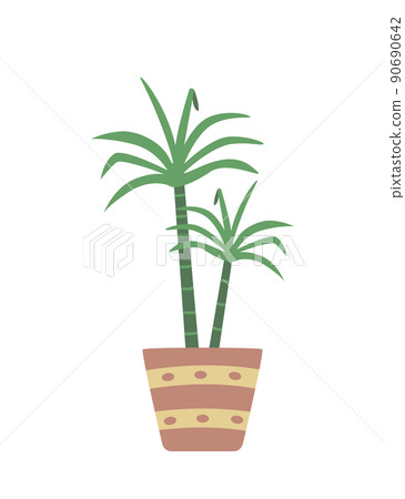 Dracaena in a flower pot, vector illustration of a palm plant Dracaena in a flower pot, vector illustration of a palm plant 90690642