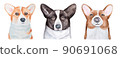 Water color illustration collection of three different cute Corgi dog portraits. Handdrawn watercolour sketchy painting on white, isolated clip art elements for design decoration, t-shirt print, card. 90691068