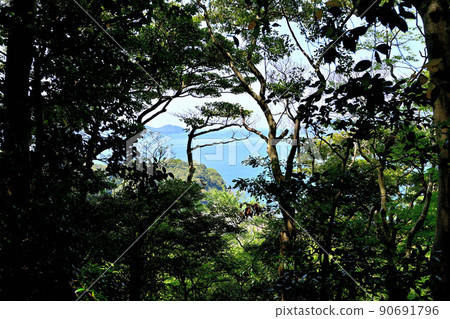 小濱市若狹國“能瀨山城”石牆和景觀 90691796