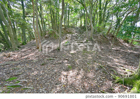 Obama City Wakasa Province "Nochiseyama Castle" stone wall and view Obama City Wakasa Province "Nochiseyama Castle" stone wall and view 90691801