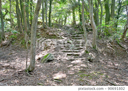 Obama City Wakasa Province "Nochiseyama Castle" stone wall and view Obama City Wakasa Province "Nochiseyama Castle" stone wall and view 90691802