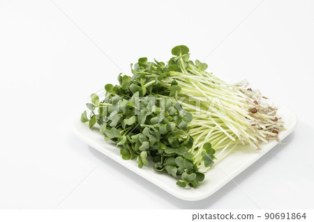 White background radish White background radish 90691864