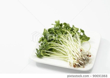 White background radish White background radish 90691868