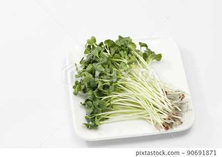 White background radish White background radish 90691871