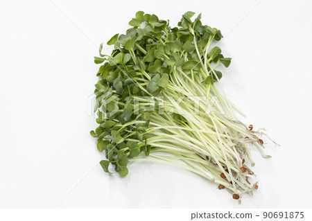 White background radish White background radish 90691875