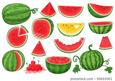 Cartoon watermelon. Natural healthy product, diet juicy fruit. Whole, pieces and sliced, green leaves, fresh semicircles with seeds, sweet flavour exotic product, summer food vector set 90693061