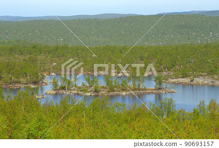 open spaces of polar region in spring 90693157