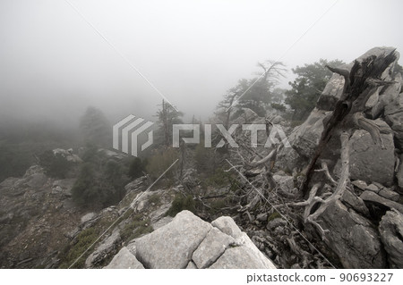 top of mountain in fog top of mountain in fog 90693227