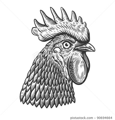 Illustration of rooster head in engraving style. Design element for logo, label, sign, poster, t shirt. Vector illustration Illustration of rooster head in engraving style. Design element for logo, label, sign, poster, t shirt. Vector illustration 90694664