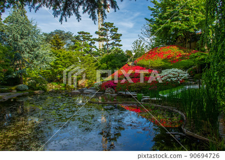Idyllic view on   rododendron hill  of red and white flowers of these bushes in Paris 90694726