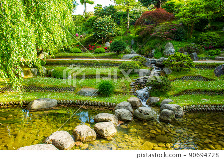 Stream and small stream and azalea in japanese garden in Albert Kahn park in Paris Stream and small stream and azalea in japanese garden in Albert Kahn park in Paris 90694728