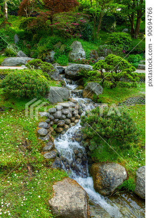 Small quick stream with waterfalls and small pine tree and azalea blossoming bush Small quick stream with waterfalls and small pine tree and azalea blossoming bush 90694766