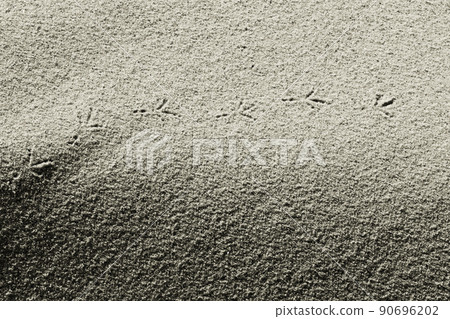 Bird tracks . Photo. Black and white Bird tracks . Photo. Black and white 90696202