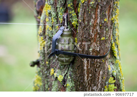 Booby Trap IED made from hand grenade with tripwire Booby Trap IED made from hand grenade with tripwire 90697717