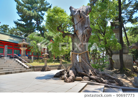 住吉神社的總本宮,全國有2,300家公司。 住吉神社的總本宮,全國有2,300家公司。 90697773