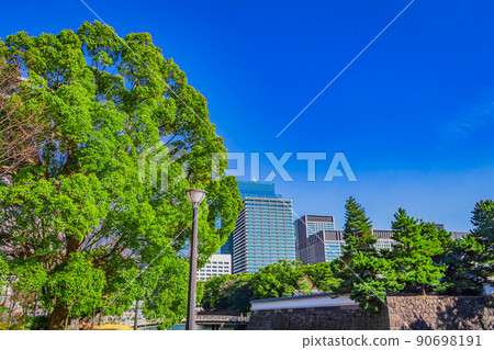 [Cityscape of Tokyo] Cityscape around the Imperial Palace Kitanomaru 90698191