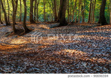 閃亮的雪 90698394