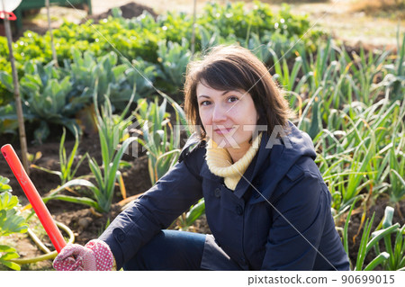 Young woman working in field of onion 90699015