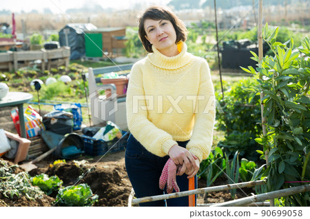 Young woman in a yellow sweater treats weeds in the garden Young woman in a yellow sweater treats weeds in the garden 90699058